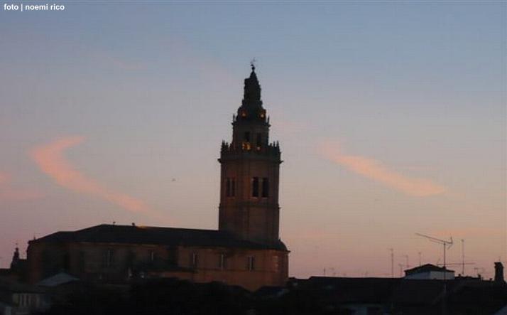 foto de los novillos