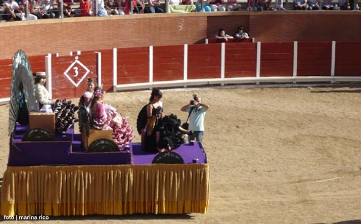 foto de los novillos