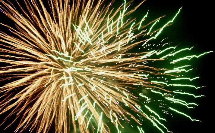 foto de los novillos