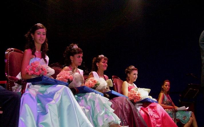 foto de los novillos