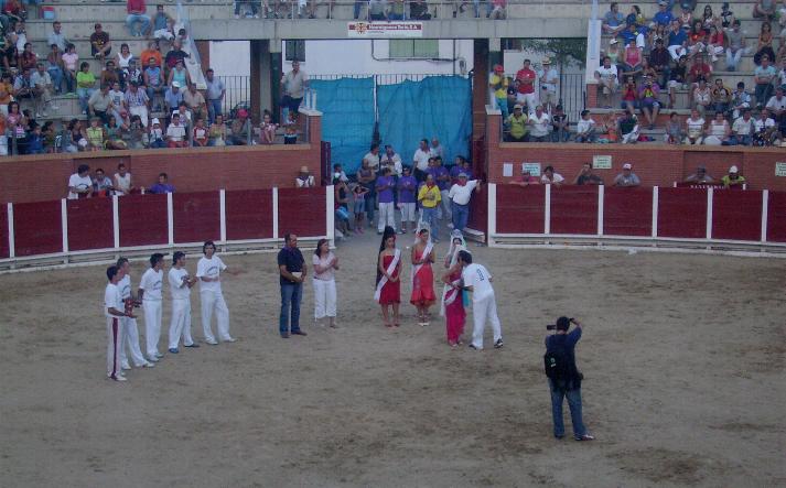 foto de los novillos