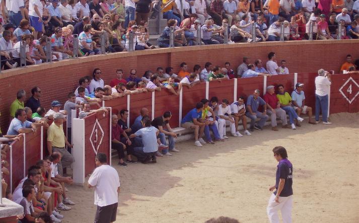 foto de los novillos