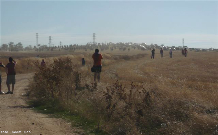 foto de los novillos