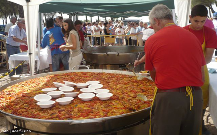 foto de los novillos