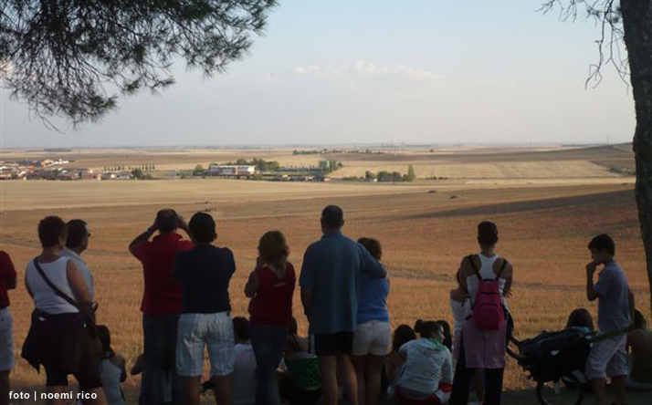 foto de los novillos