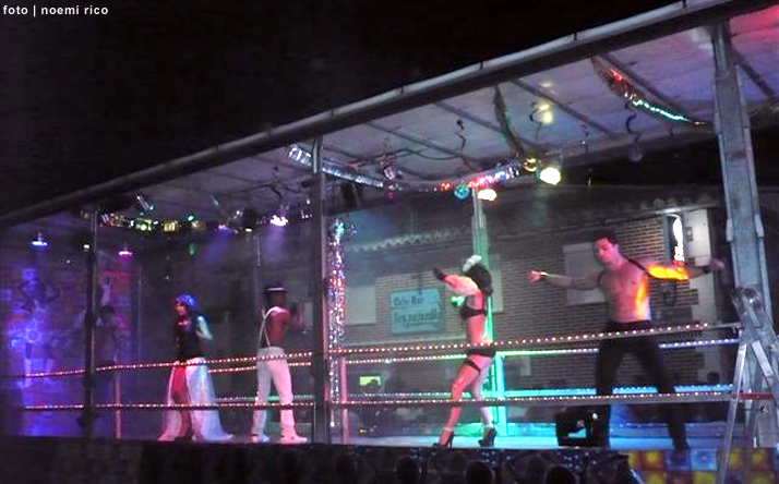 foto de los novillos