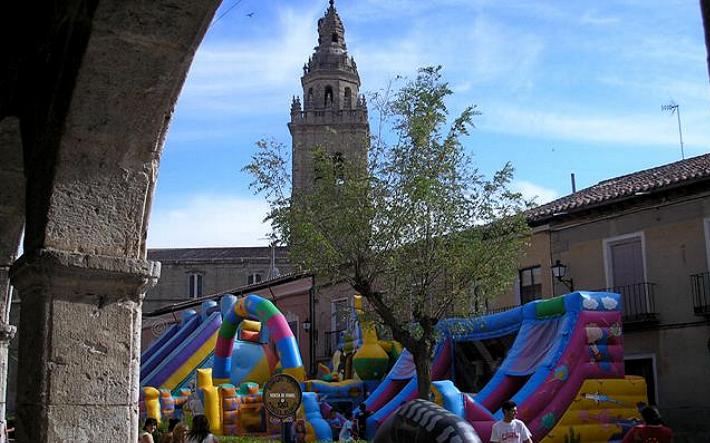 foto de los novillos