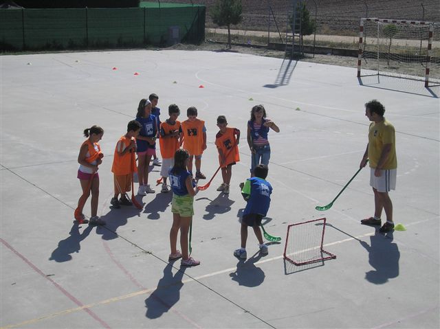 foto de los novillos