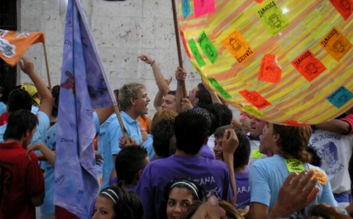 foto de los novillos