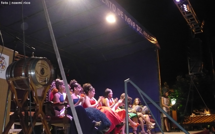 foto de los novillos