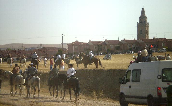 foto de los novillos