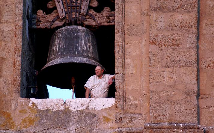 foto de los novillos