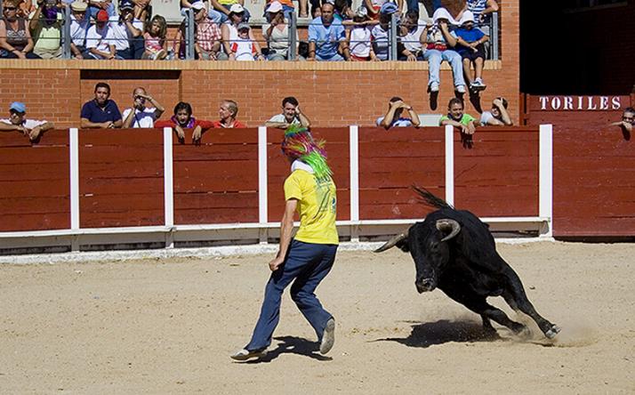 foto de los novillos