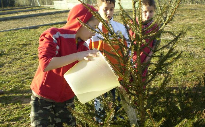 foto de asociaci�n orop�ndola