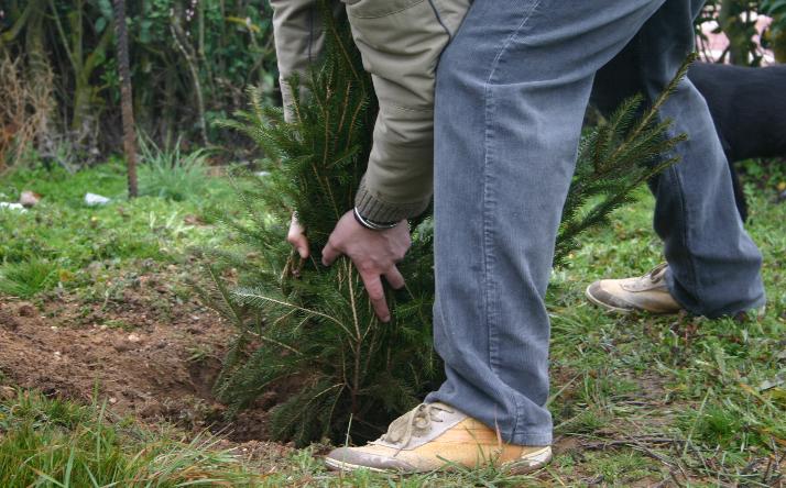 foto de asociaci�n orop�ndola