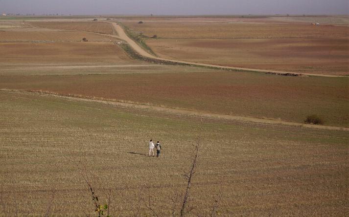 foto de asociaci�n orop�ndola