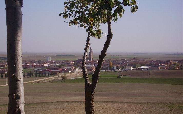 foto de asociaci�n orop�ndola