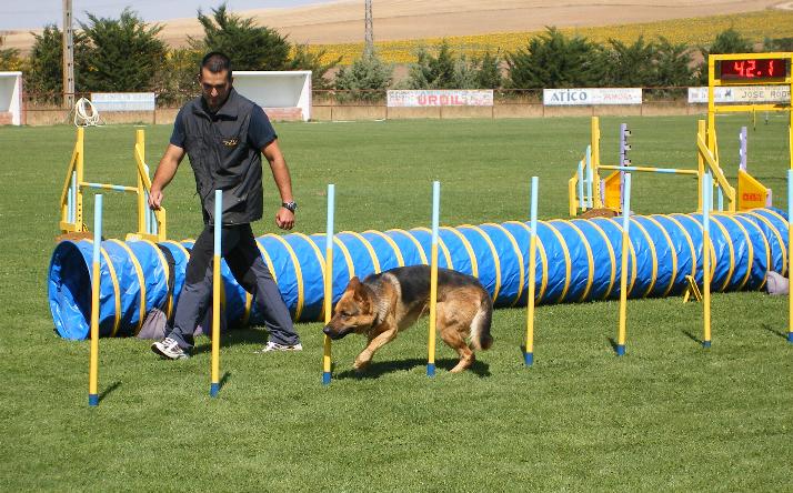 foto de X SEMANA DE BALONCESTO