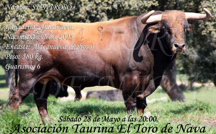 foto de Asoc. El Toro de Nava