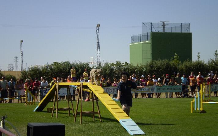 foto de X SEMANA DE BALONCESTO