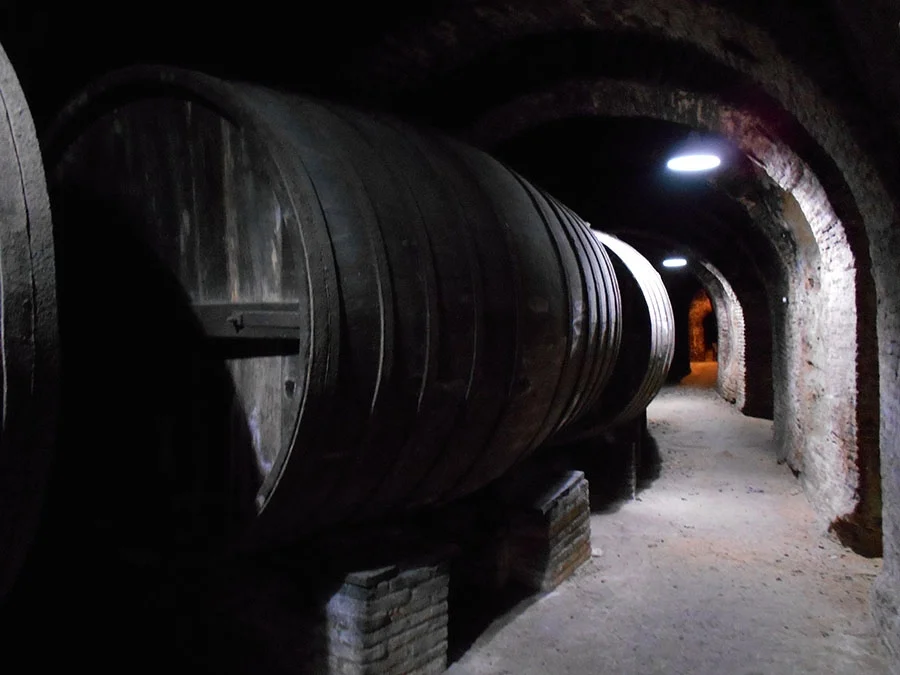 Imagen bodegas