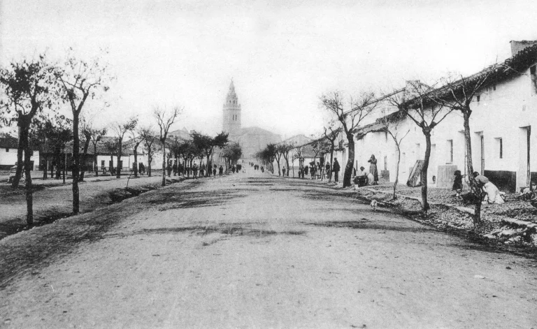 Historia de Nava del Rey