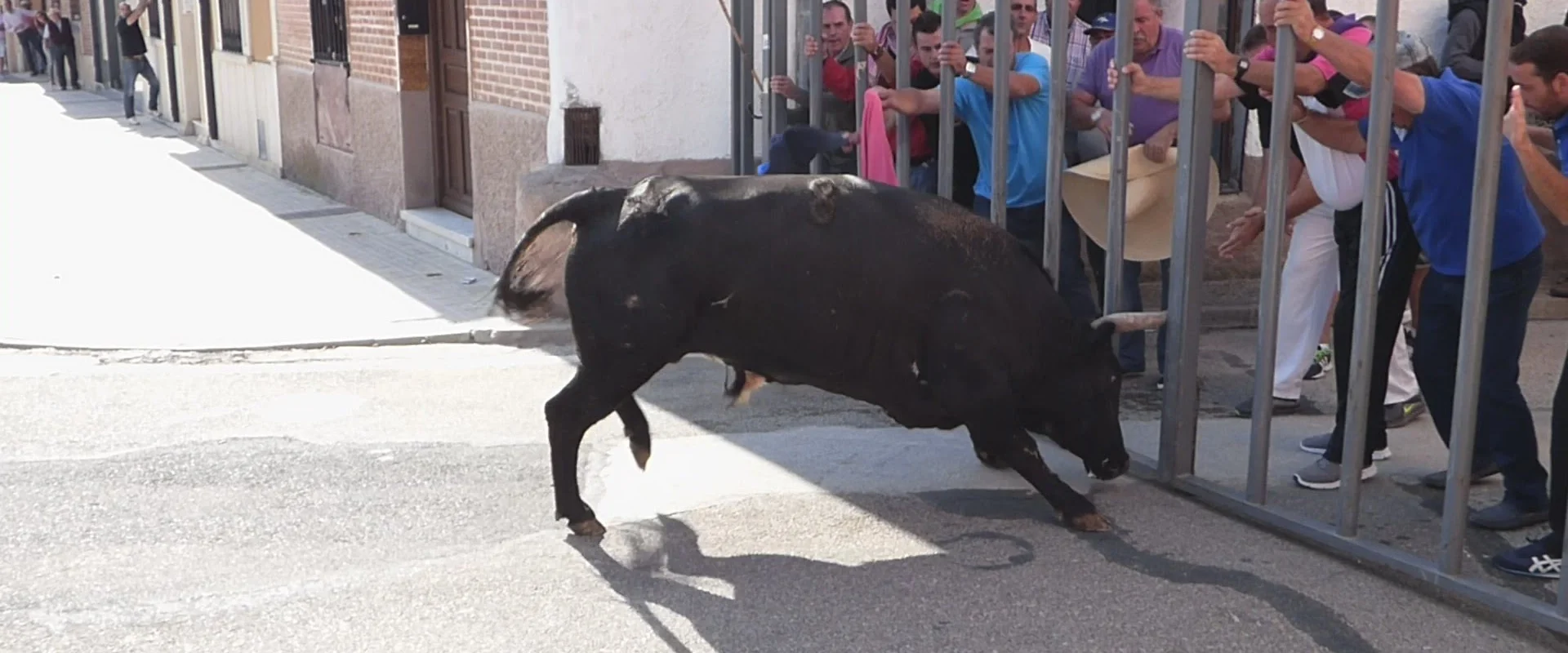 Los Novillos