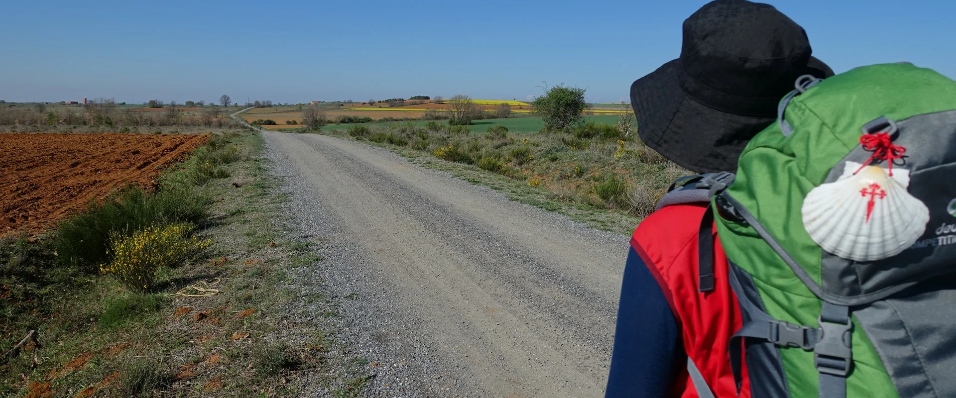 Camino de Santiago a su paso por Nava del Rey